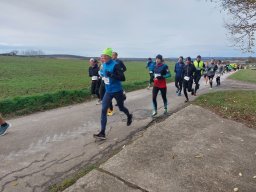 nussdorflauf_2024_229